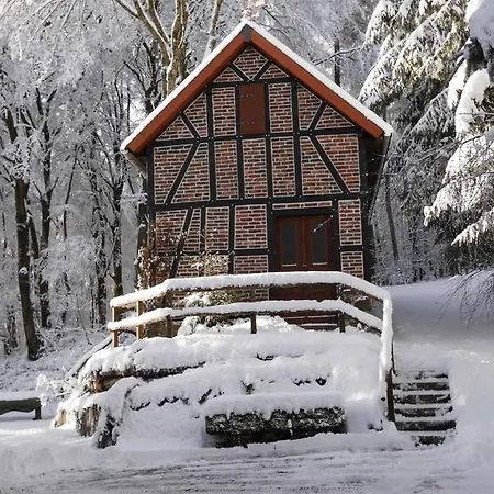 Haus Auf Der Trambach וילה הלנברג